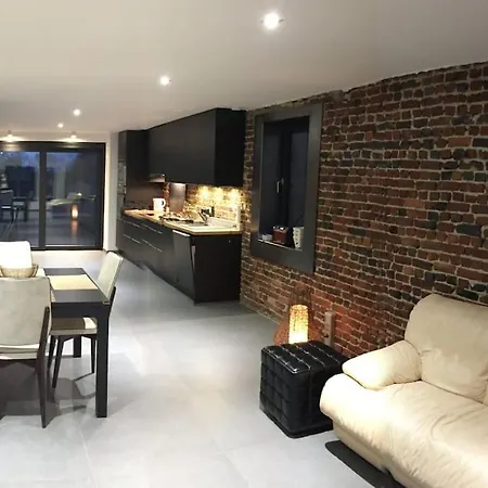 Duplex Style Industriel A Deux Pas De La Place