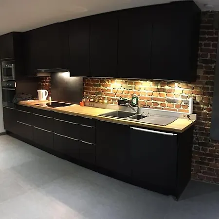 Duplex Style Industriel A Deux Pas De La Place 公寓 *
