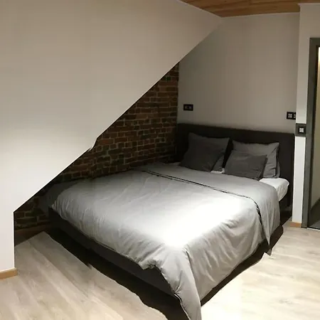 Duplex Style Industriel A Deux Pas De La Place بيرتريكس