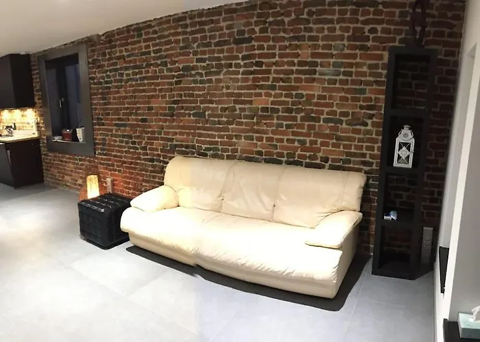 Duplex Style Industriel A Deux Pas De La Place *