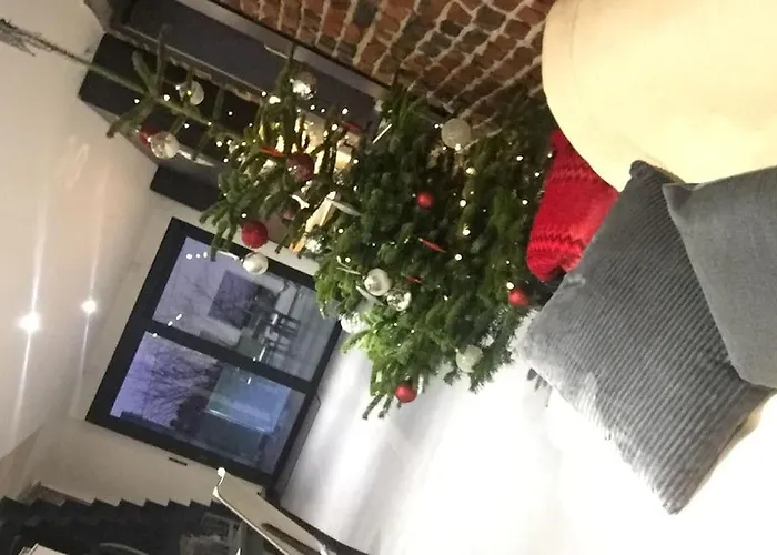 Duplex Style Industriel A Deux Pas De La Place Appartement