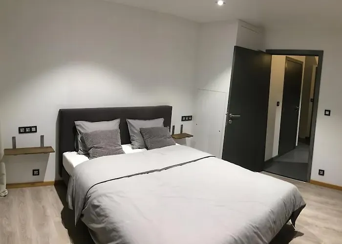 Appartement Duplex Style Industriel A Deux Pas De La Place